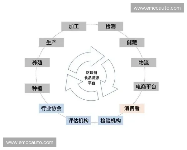 2027年赛事内容资产通过链上溯源实现版权价值最大化增量预测